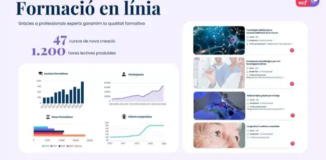 Memòria d'activitats 2024: formació en línia