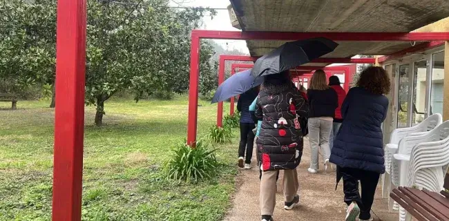 4_galeria_tf_G2_2026