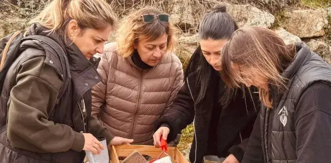 2_galeria_tf_G1_2026