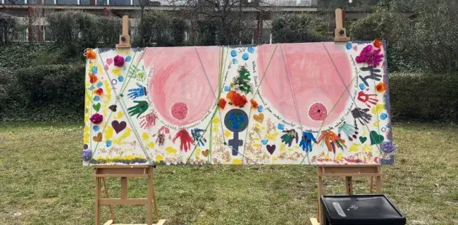 5_galeria_tf_G1_2026