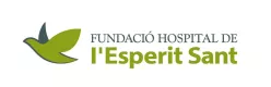 Fundació hospital de l'esperit sant 