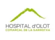 logo hospi olot nou.jpg