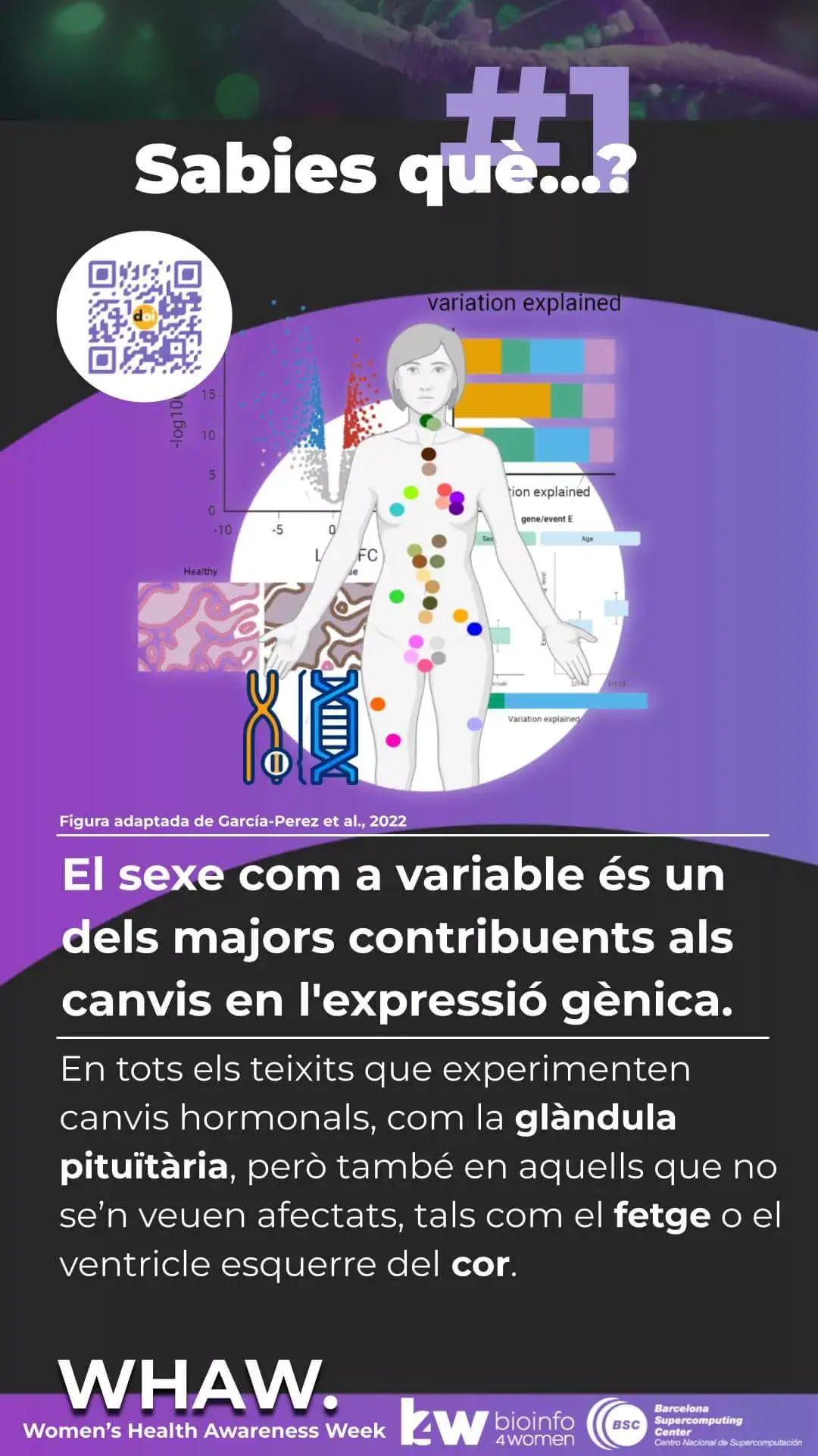 Setmana de la Salut de les Dones 1
