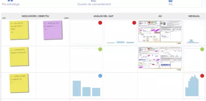 Lideratge per la innovació en processos assistencials. De l’estratègia als resultats operatius 